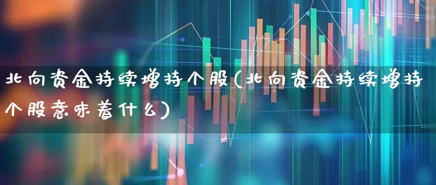 北向资金持续增持个股(北向资金持续增持个股意味着什么)_https://www.jumanxin.com_北交所_第1张