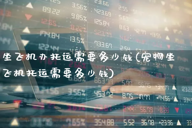 坐飞机办托运需要多少钱(宠物坐飞机托运需要多少钱)_https://www.jumanxin.com_深交所_第1张